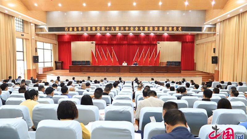 学历教育vs技能培训：两大教育模式的区别解析
