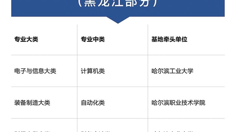 编程教育的兴起：培养未来创新人才